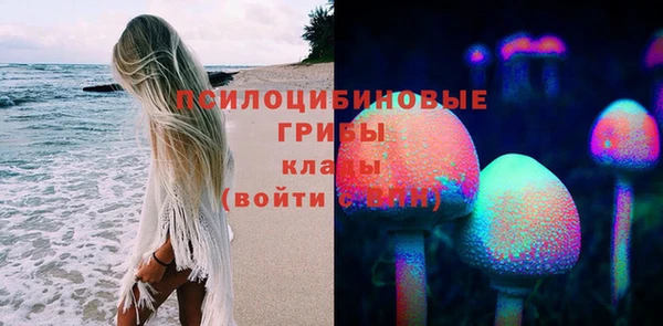 гидропоника Аркадак