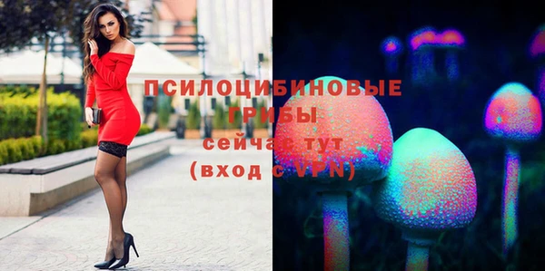 скорость Арсеньев